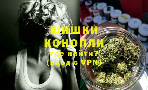 соль ск Новозыбков