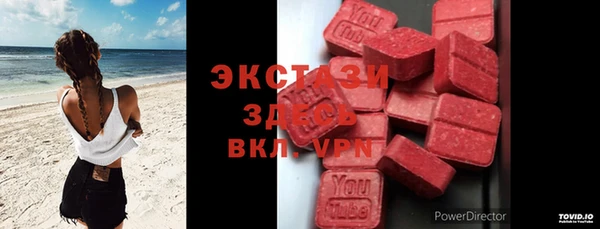 соль ск Новозыбков