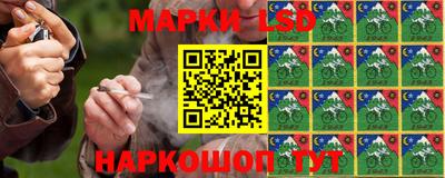 СК Апшеронск