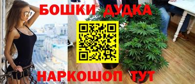 Альфа ПВП Аргун