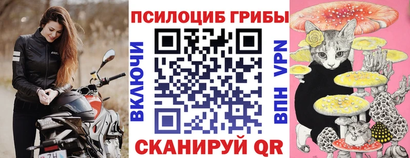 кракен ТОР Мичуринск Галлюциногенные грибы мухоморы