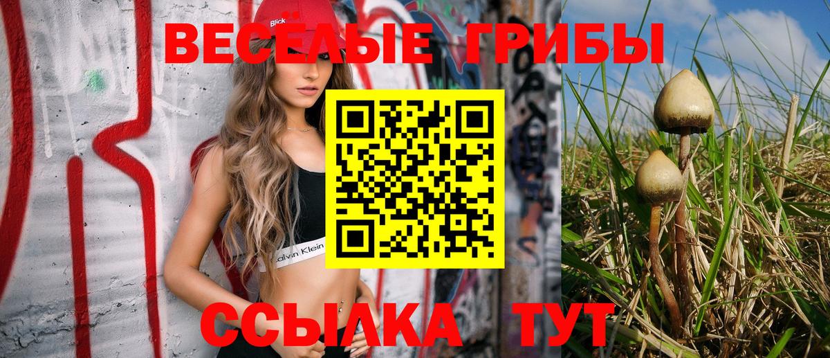 Псилоцибиновые грибы Cubensis Мичуринск