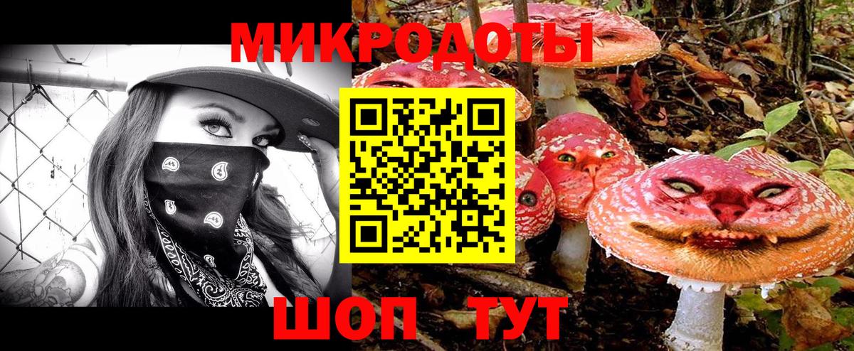 Галлюциногенные грибы мицелий  Вход с VPN  Мичуринск 
