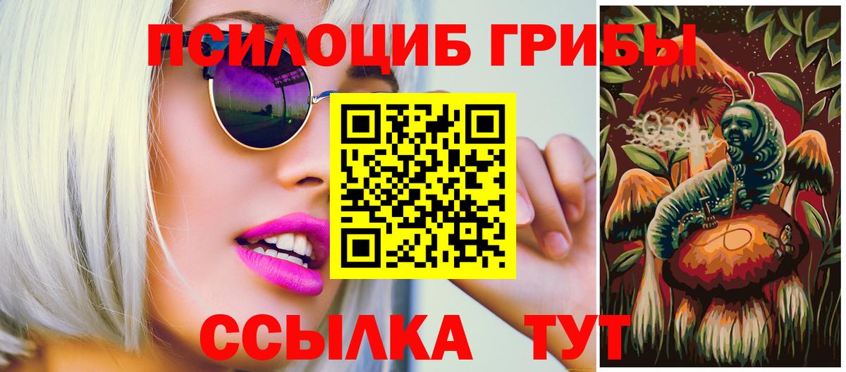 Галлюциногенные грибы Psilocybe  Мичуринск 